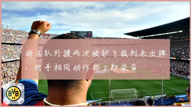 浙江队外援两次被铲飞裁判未出牌，对手相同动作却立即染黄